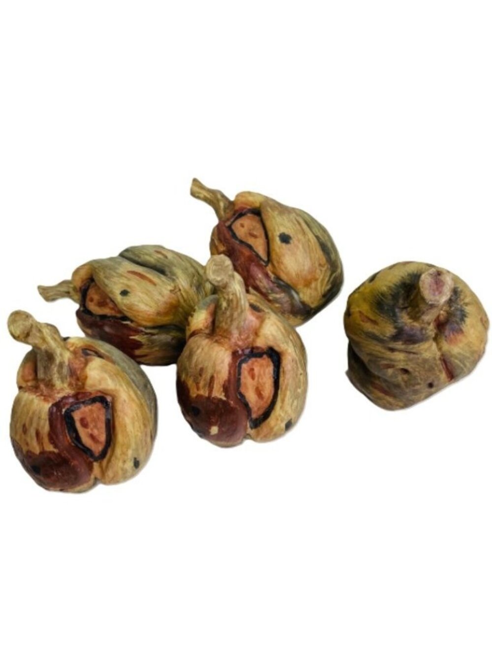 Autumn Gourd Pumpkin or Seed Pod Nature Decoration Faux Wood 5 Pc